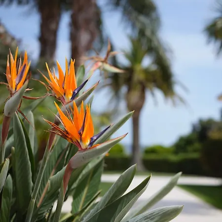 Hotell San Bartolo 4*