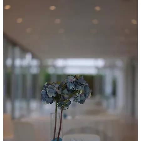 Hotell San Bartolo 4*